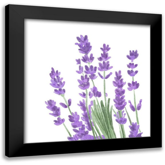Bannarot 12x12 Black Modern Framed Museum Art Print Titled - Wildflower Group II