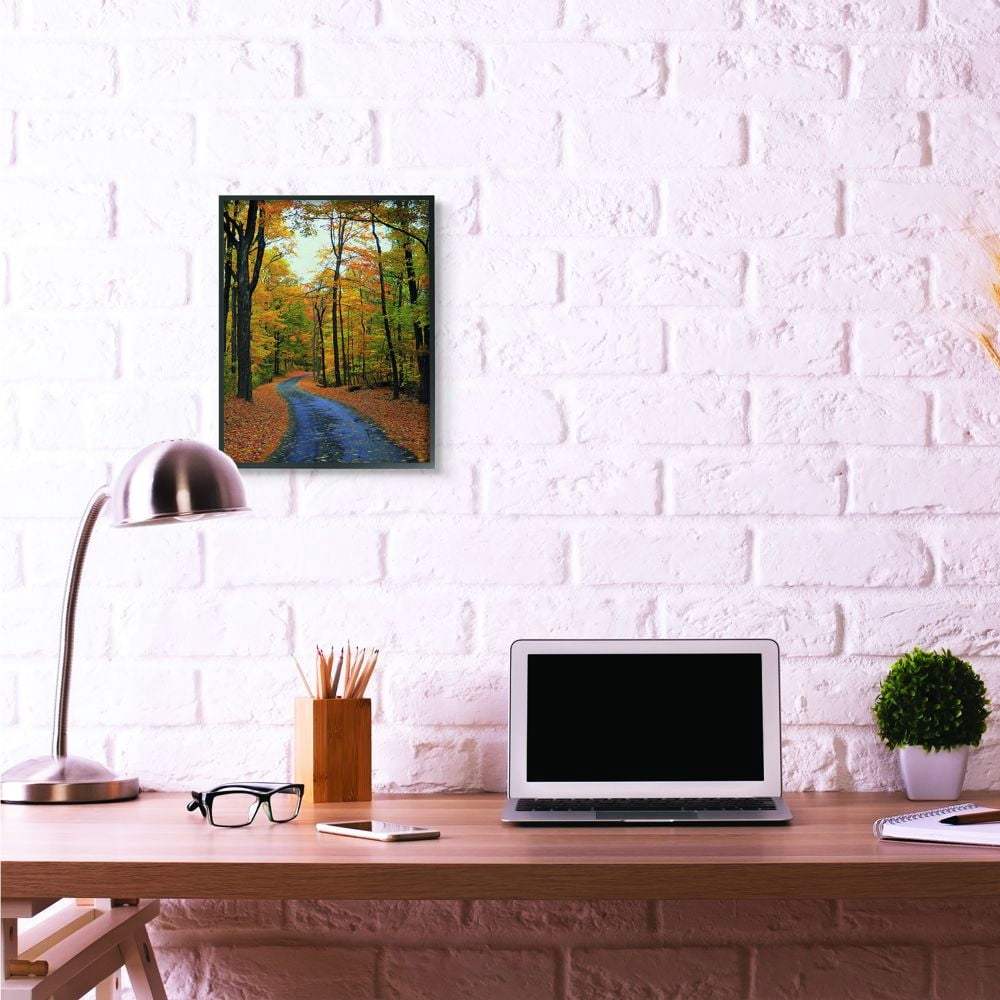 Stupell Industries Autumn Road Forest Landscape Photograph Framed Wall Art by Joseph Elliott