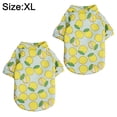 thumbnail image 2 of Paquete de 2 ropa para mascotas, suéter de dos piezas para mascotas, ropa con estampado de limón verde de dibujos animados bonitos para mascotas MFZFUKR xl, 2 of 6