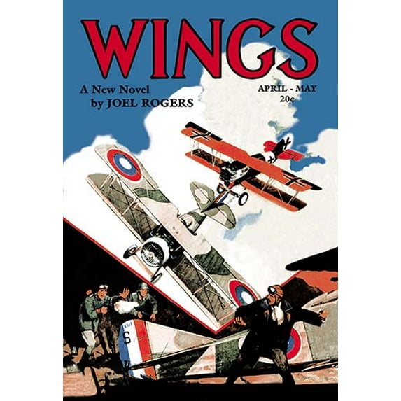 Wings Museum quality giclee print canvas wrap(20" x 30")