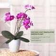 thumbnail image 5 of Phalaenopsis Orchids Leaves Artificial Latex Contact Faux Leaf,6 PCS, 5 of 6