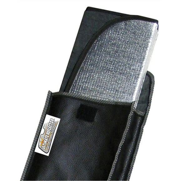 Intro-Tech PN-36 Pare-Brise sur Mesure pour Certains Modèles Pontiac Aztek, Argent