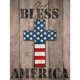 thumbnail image 1 of Punto de cruz completo 11CT hilo de algodón DIY Bless America impreso bordado Sywqhk Decoración hogareña, 1 of 9