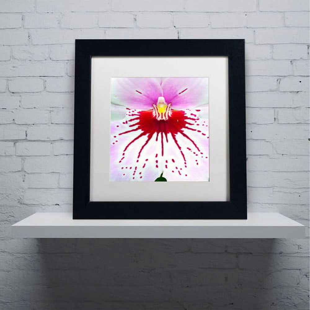 Trademark Fine Art "Mother Natures Imagination Orchid" Canvas Art by Kurt Shaffer, White Matte, Black Frame