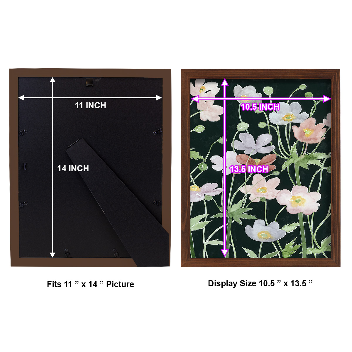 Anemone Dance II -Framed Print w/glass-Chestnut