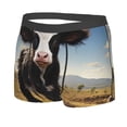 thumbnail image 2 of Daiia Cute Prairie Cow Men's Underwear Boxer Briefs, Cotton Stretch Moisture-Wicking Underwear-Large, 2 of 9