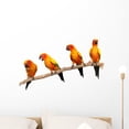 thumbnail image 1 of Parrots Perch White Wall Decal by Wallmonkeys Peel and Stick Graphic (24 in W x 14 in H) WM298516, 1 of 4