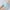 Light Blue, variant on Womens Boyshorts Underwear Seamless Boxer Briefs Full Coverage Soft Stretch Boxer Shorts For Women