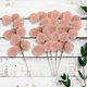 thumbnail image 3 of 5 Piezas de Tallos de Hojas Artificiales de eucalitto , para Dormitorio, Sala de , Jardín, Decoración de Bodas, Accesorio para fotografía Rosa Macarena Hojas decorativas, 3 of 7