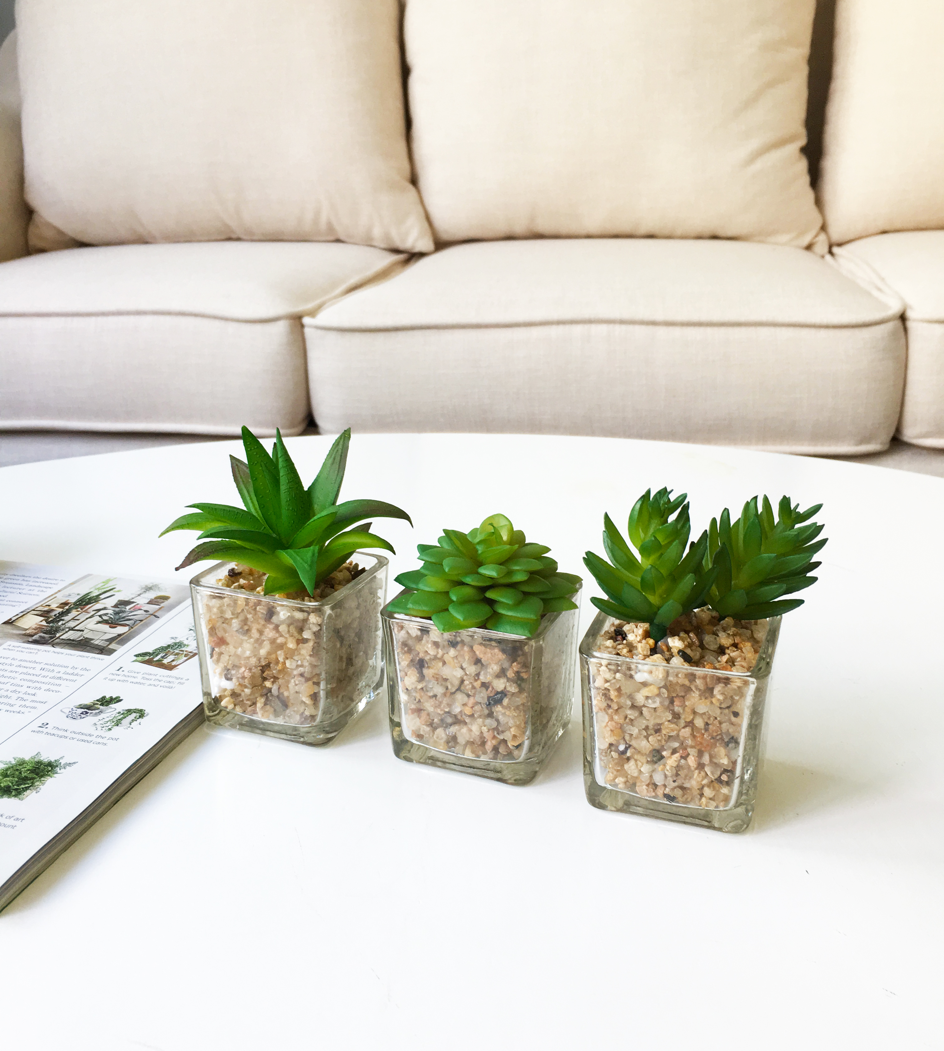 K-Cliffs Mini Succulent  Potted in Modern Cube Shape Clear Glass Pots 3pcs Set.Overall- 8.3L x 3.9W x 4.3H inches; each Pot (not including Plants)- 2L x 2W x 2H inch