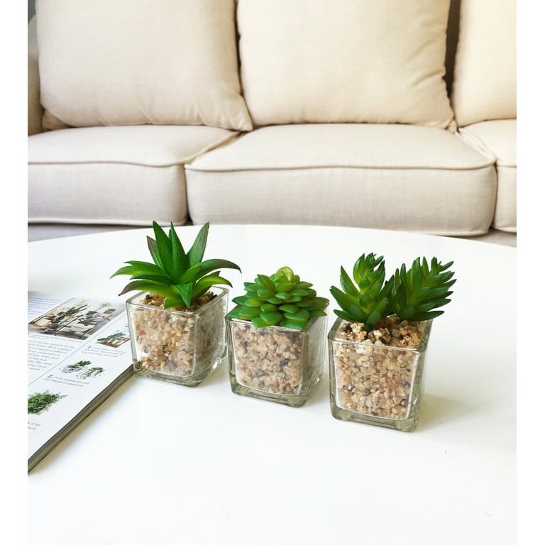 K-cliffs Mini Succulent Potted in Modern Cube Shape Clear Glass Pots 3pcs Set.Overall- 8.3l x 3.9w x 4.3h inches; each Pot (not including Plants)- 2L