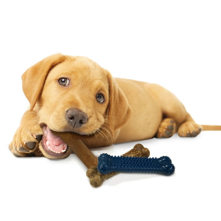 Best shop chew bones for lab puppies