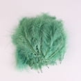 thumbnail image 1 of Namzi 200 piezas de plumas esponjosas de 3.9-5.9 pulgadas para manualidades, decoración de bodas y fiestas - Verde A, 1 of 5