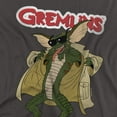 thumbnail image 3 of Gremlins Flasher Kids T Shirt (3) for Youth Toddler Boys and Girls, Charcoal, 3 of 5