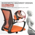 thumbnail image 6 of PayLessHere Ergonomic Office Chair, Lumbar Support, Adjustable Height with Armrests for Adults(Orange), 6 of 7