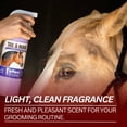thumbnail image 4 of Jeffers Equine Tail & Mane Detangler & Conditioner Spray for Horses, 32 oz – Soap Free, Non Greasy Formula, Helps Loosen Knots & Tangles, Frizz Control, Soft Silky Shine, Fresh Scent, Made in USA, 4 of 8
