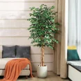 thumbnail image 6 of Colourtree 71 Inch Artificial Ficus Tree with Natural Wood Trunk, Silk Fake Ficus Tree in Plastic Nursery Pot, Faux Plant for Office Home, Indoor Outdoor Decor, 6 of 7