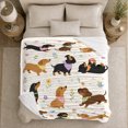 thumbnail image 4 of Playful Dachshunds With Bandanas Flowers And Hearts, Soft Flannel Blanket with Playful Animal Illustration Print, Housewarming Gift and Home Decor for Bedroom and Living Room, 4 of 7