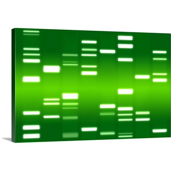 Great BIG Canvas | "DNA Art Green" Canvas Wall Art - 36x24