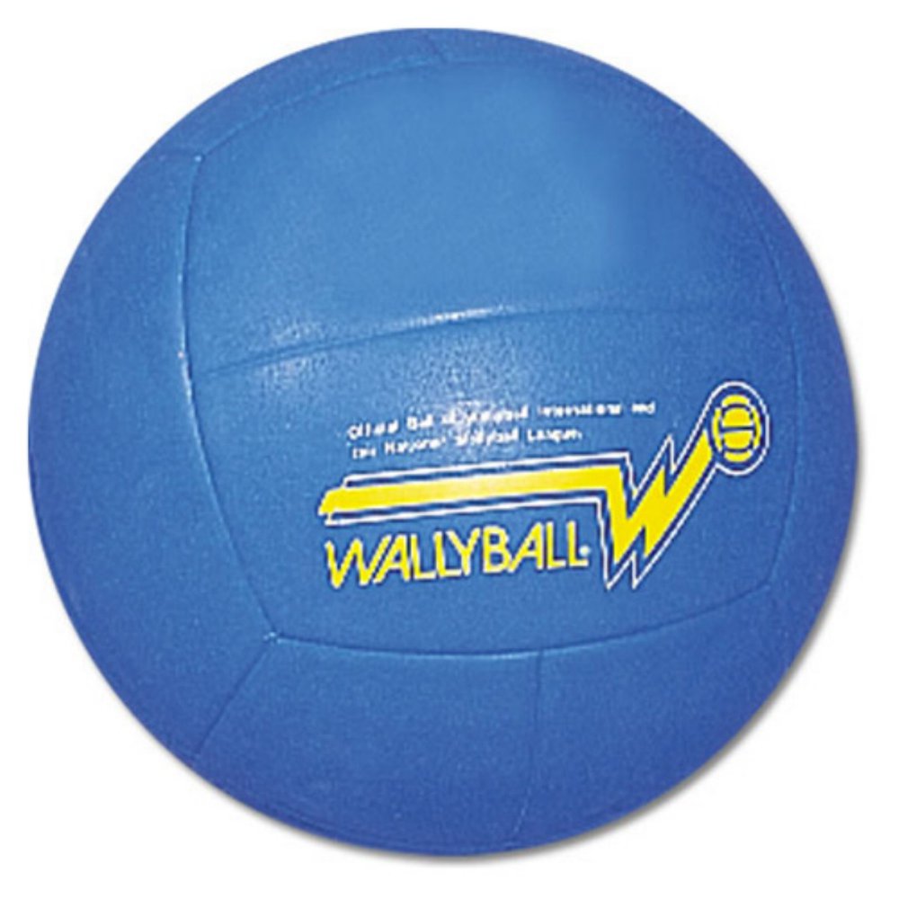Official Wallyball Volleyball