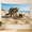 B, variant on XaaKee Llama Hula Hoop Tapestry Wall Hanging High-Quality Polyester Bedroom Tapestry 60x40Inch