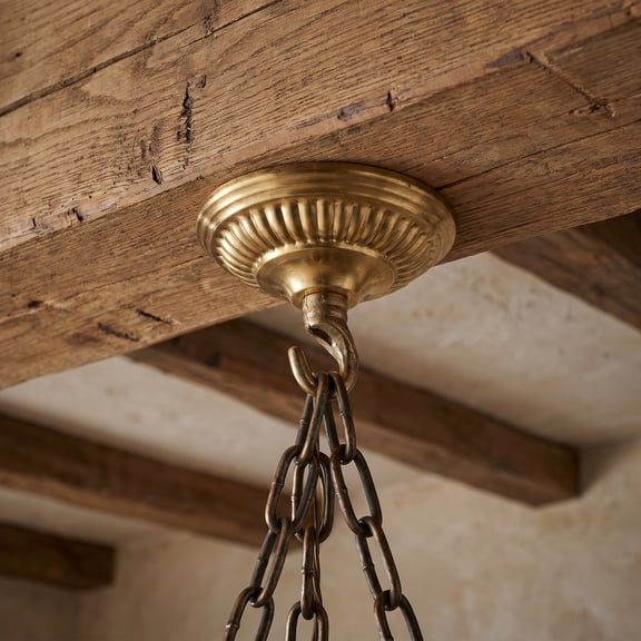 BESTYASH Heavy Duty Light Canopy with Brass Hook for Lighting and Flower Basket Ceiling Mount in