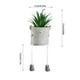 thumbnail image 4 of Cateissary Decoraciones de plantas falsas Decoración versátil y económica para el hogar Planta de maceta suculenta pequeña simulada Decoración, 4 of 6