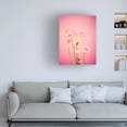 thumbnail image 2 of Canvas Wall Art - Julia Ramiro 'Desenfocar Copia' Wall Art for Living Room, Bedroom, or Office D?cor by Trademark Fine Art - 18 x 24 Inches, 2 of 4