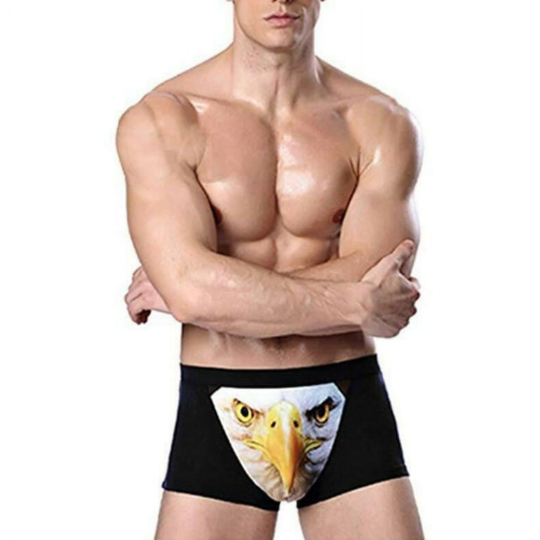 Men's Animal Village Zoo Boxer Briefs Shorts Panties Mid Waist Underwear  Acnh Character Male Printed Plus Size Underpants