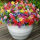 thumbnail image 5 of Flores artificiales ShareConn para decoración de primavera al aire libre, 40 paquetes, 5 of 7