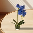 thumbnail image 5 of Glass Vase Artificial Orchid Bonsai - Phalaenopsis Flower Pot Arrangement For Home Table Centerpieces And Room Decor, 5 of 5