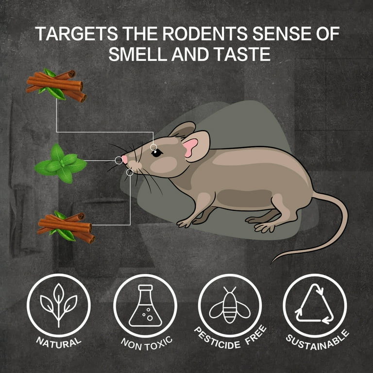 Mouse Repellent Home Remedy | visitchile.cl
