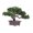 Longevity, variant on hejhncii Realistic Miniature Bonsais Tree Plastic Materials Office Meditations Space Accent