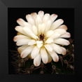 thumbnail image 2 of Reynolds, Richard 20x20 Black Modern Framed Museum Art Print Titled - Chin Cactus 1, 2 of 5