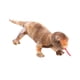 thumbnail image 2 of Lagarto de peluche de juguete Animal de peluche Lagarto abrazable Imaginativo Peluche grande Barbudo Marrón, 2 of 9