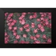 thumbnail image 2 of Stramel, Renee W. 24x17 Black Modern Framed Museum Art Print Titled - Natures Textures I, 2 of 5