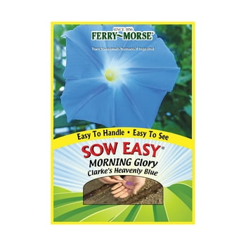 Ferry-Morse Sow Easy Morning Glory Heavenly Blue Annual Flower  (1 Pack) - Seed Gardening, Full Sunlight Annual Flower  (1 Pack) - Seed Gardening, Full Sunlight