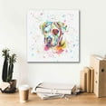 thumbnail image 6 of Epic Graffiti 'Colorful Watercolor American Bulldog' by Furbaby Affiliates, Canvas Wall Art, 18"x18", 6 of 8