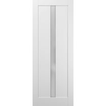 Lite Slab Barn Door Panel 24 x 84