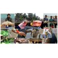 thumbnail image 3 of Fishing Rod Holder Tripod Stand Universal Pole Rest Head Stand Bracket 8 10 Bracket 45cm, 3 of 9