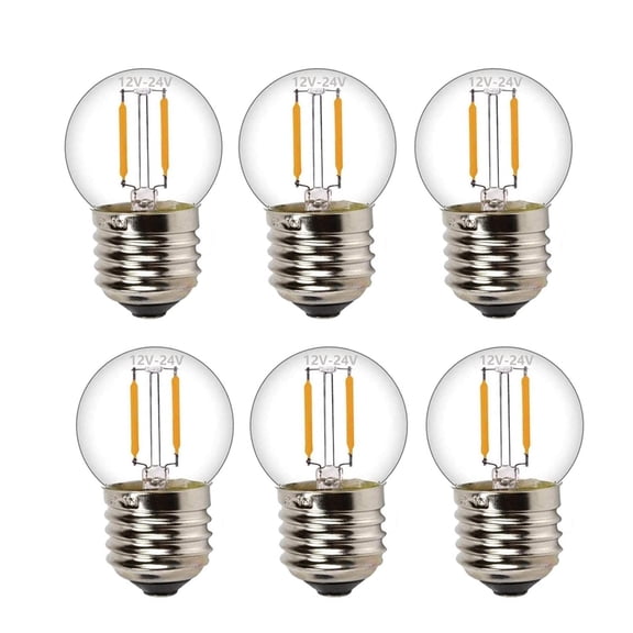 12V LED Light Bulb, G40 Globe, E26 Base, 1W, 2700K Warm White, 6 Pack