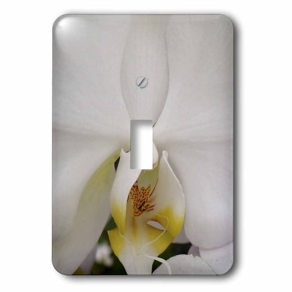 3dRose, Daisy Orchid, single toggle switch