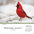 thumbnail image 3 of Turner Licensing, Songbirds 2025 Desk Calendar, 3 of 4