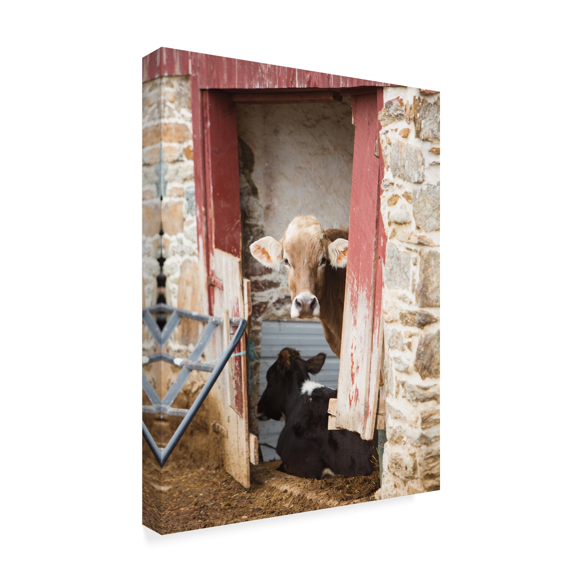 Trademark Fine Art 'Cows Resting' Canvas Art by Aledanda
