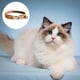 thumbnail image 3 of Lupine 3/4 pulgadas Go Go Gecko Collar de perro ajustable para perros pequeños a grandes, 3 of 5
