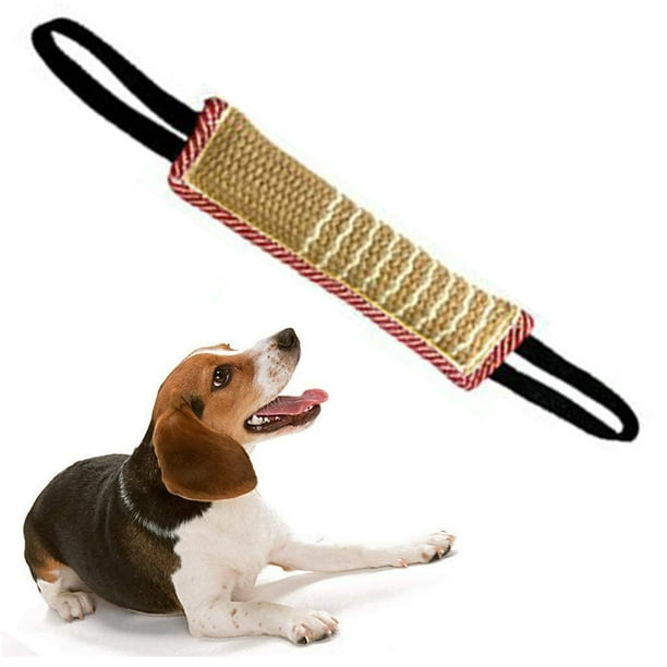 Dog sales training equipment