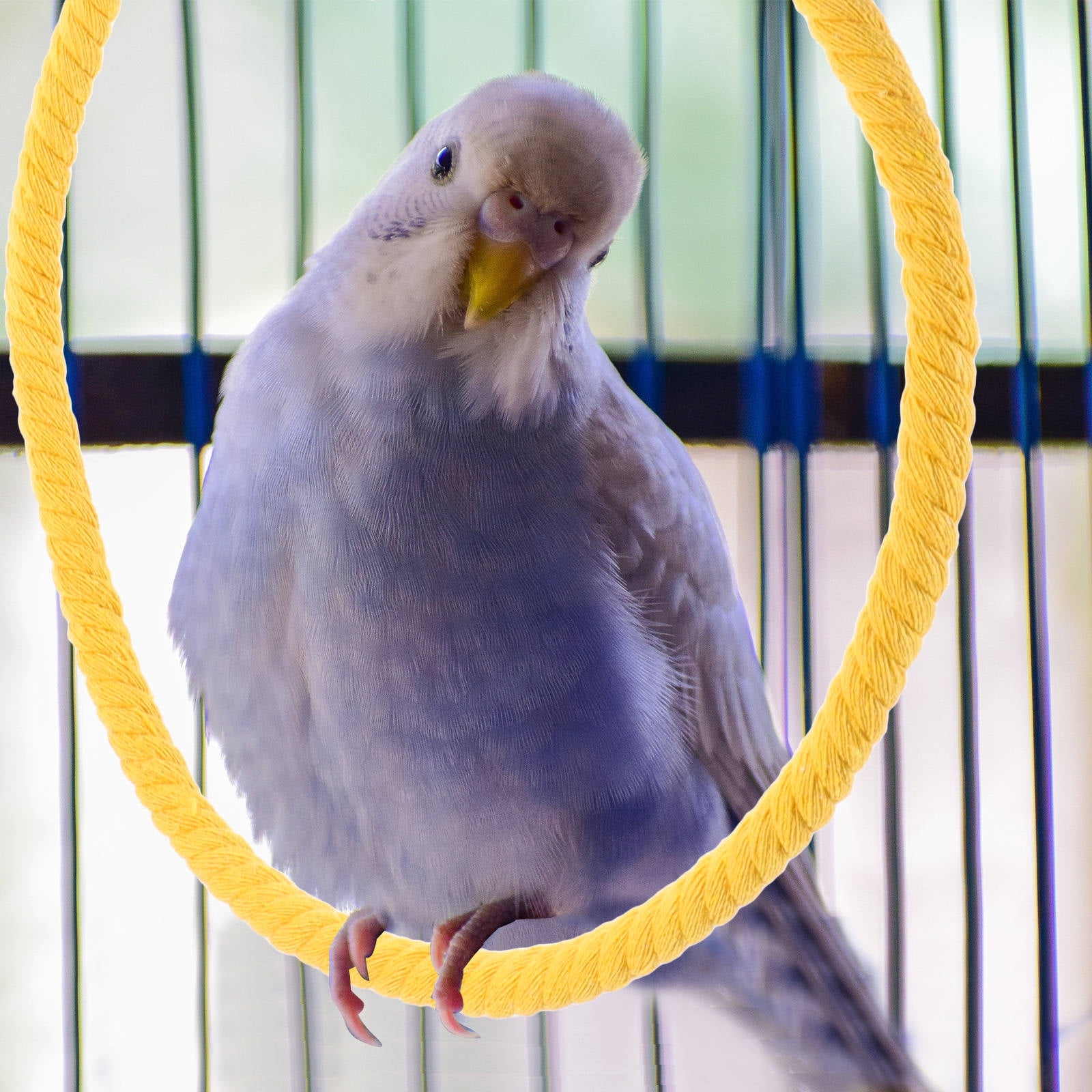 FUEENIRVA Cockatiel Swing Yellow Durable Hemp and Metal Bird Perch Cage Accessory
