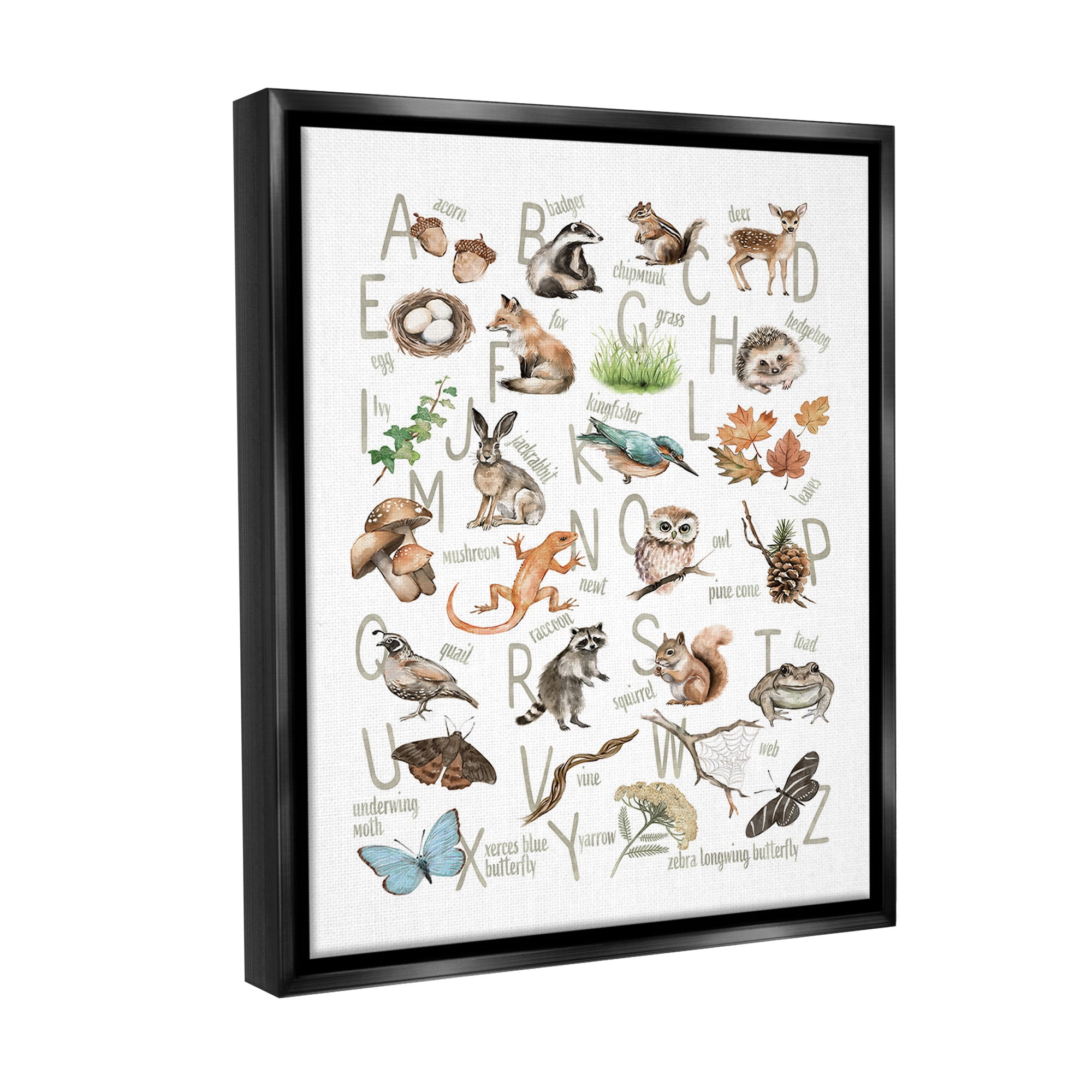 Stupell Industries Woodland Nature Alphabet Animals & Insects Painting Black Floater Framed Canvas Art Print Wall Art, 17 x 21