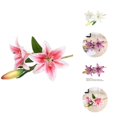 thumbnail image 1 of 1Pc Artificial Flower Decorative Home Decoration Gift Short Branch Fake Lily Bouquet Simulation Flower for Living Room, 1 of 8