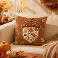 thumbnail image 2 of AuroraX Fall Pumpkin Throw Pillow Covers Thanksgiving Decorative Throw Pillowcase Farmhouse Rustic Outdoor Harvest Home Decor White, 2 of 6